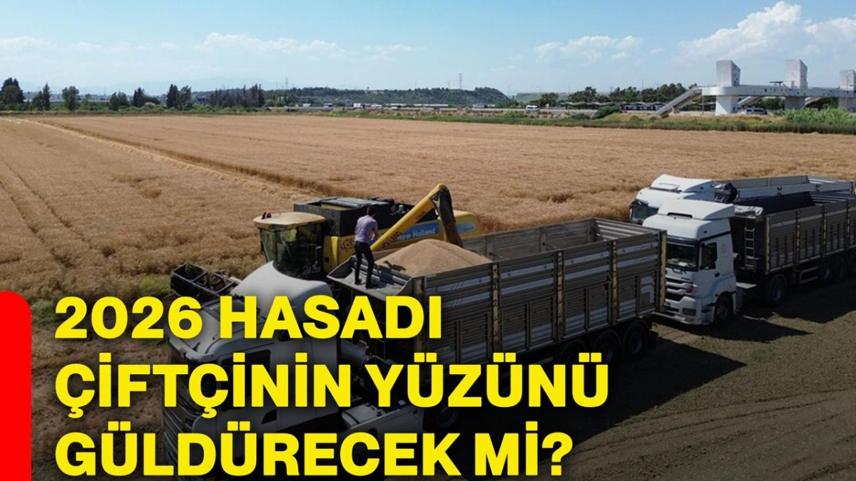2026 Hasat Dönemi İçin Yüksek Rekolte Beklentisi: TMO Alım Noktalarını Hazırlıyor