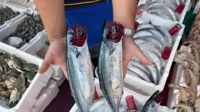 Ekim Ayında Hangi Balıklar Tüketilmeli? Mevsimsel Balık Rehberi