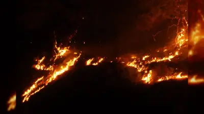 Ayvalık'ta Yangınla Mücadele İkinci Gece de Kesintisiz Sürüyor
