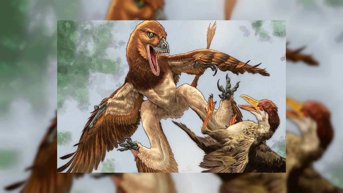 Velociraptor akrabası ejder benzeri dinozor Çin'de dört kanatlı olarak bulundu