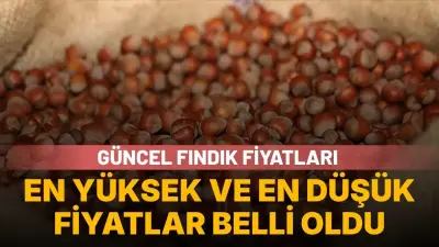 Serbest Piyasada 27 Temmuz 2026 Fındık Fiyatları: İllere Göre En Yüksek ve En Düşük Değerler - Ekonomi Haberleri