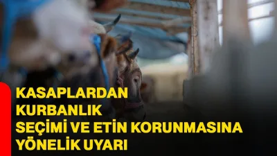 Uzmanlar Açıkladı: Kurban Etini Saklarken Yapılan Hatalara Dikkat - Gündem Haberleri