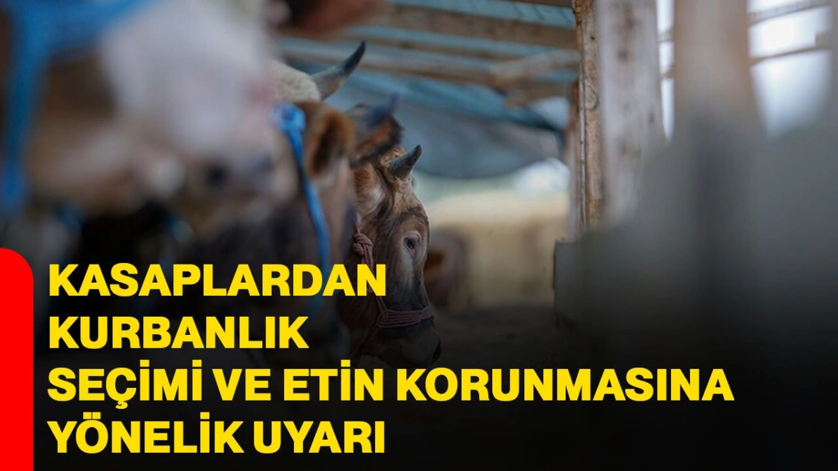 Uzmanlar Açıkladı: Kurban Etini Saklarken Yapılan Hatalara Dikkat