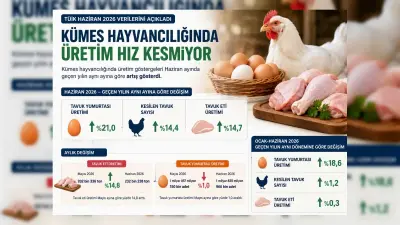 Haziran Ayı Kümes Hayvancılığı Verileri Açıklandı: Üretimde Yıllık Artış