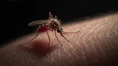 Sivrisinek Isırığı Kaşıntısına Karşı Etkili Çözümler ve Ciddi Belirtilerde Sağlık Uyarısı