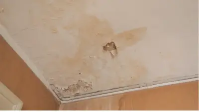 Evdeki Rutubet ve Küf Kokusu Nasıl Giderilir?