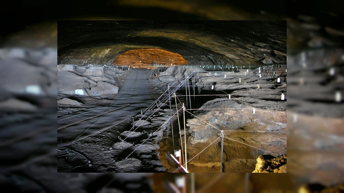 Tarih Yeniden Yazılabilir! Homo Erectus'un Ateşle İlgili Sırrı Ortaya Çıktı