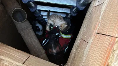 Balıkesir'de 4 Metre Derinlikteki Kuyuya Düşen Kedi İtfaiye Ekiplerince Kurtarıldı