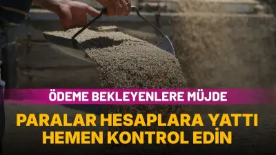 Toprak Mahsulleri Ofisi'nden Hububat Çiftçilerine 12 Milyar 150 Milyon Liralık Ödeme