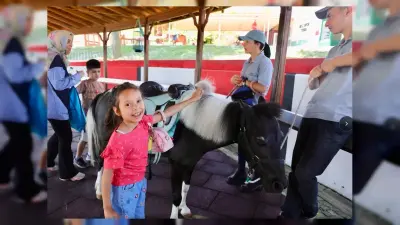 Atlı Terapiyle Otizmli Çocuklara Destek: Samsun Büyükşehir 413 Çocuğa Ulaşıyor