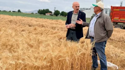 Yangın Riski: Karaman Ziraat Odası Başkanı Hasat Sezonu İçin Uyardı - Ekonomi Haberleri