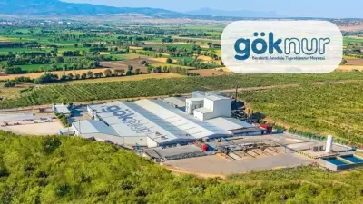Göknur Gıda Hisseleri, Ankara Merkezli Soruşturma Gündemiyle Sert Kayıp Yaşadı