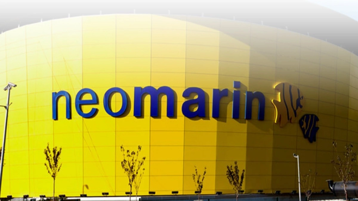 Neomarin AVM'de Neden Yangın Çıktı? Pendik AVM Yangını Söndürüldü mü?